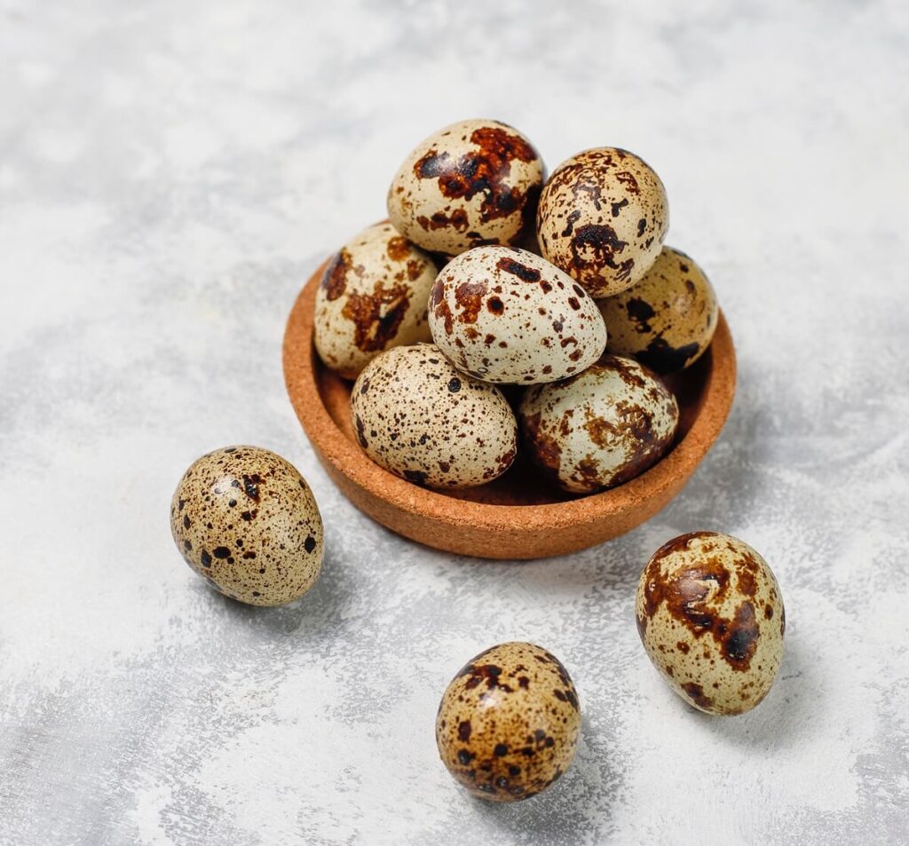 beneficios de la carne de codorniz para mascotas