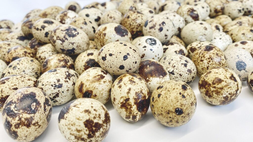 Huevos de codorniz naturales en primer plano