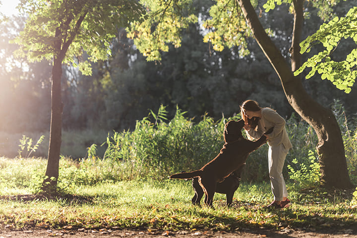 Mujer jugando con dos perros en un parque al aire libre