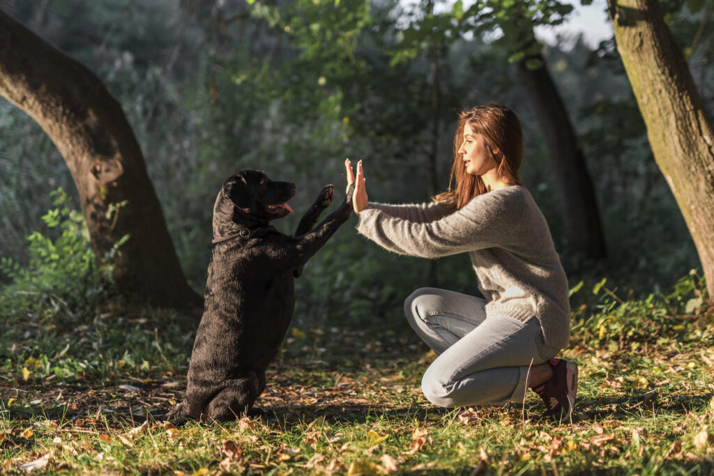 Perro dando la pata a su duena en un parque al aire libre